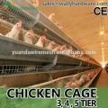 layer egg chicken cage/poultry farm house design                        
                                                Quality Choice